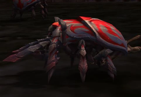 Borer Beetle