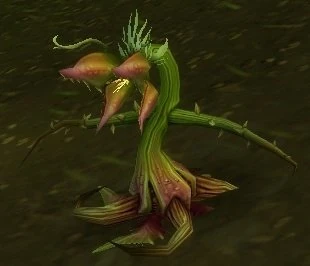 Bloodpetal Pest