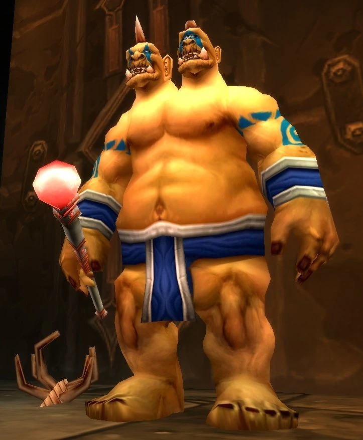 Spirestone Ogre Magus