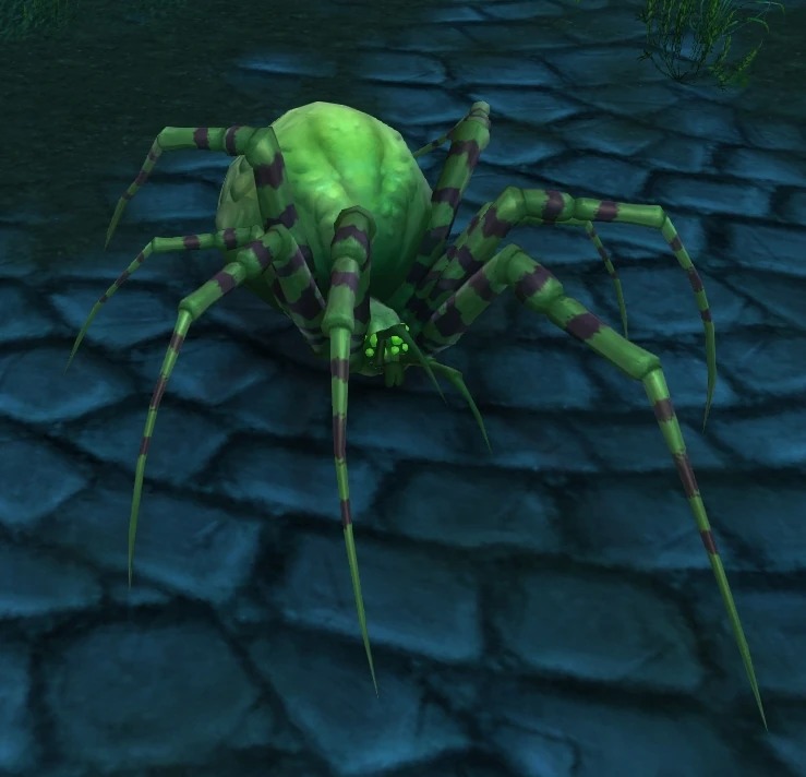 Carrion Recluse