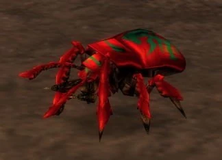 Fire Beetle